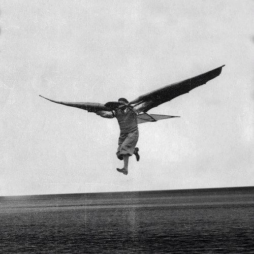 Witte Wieven : Vlucht